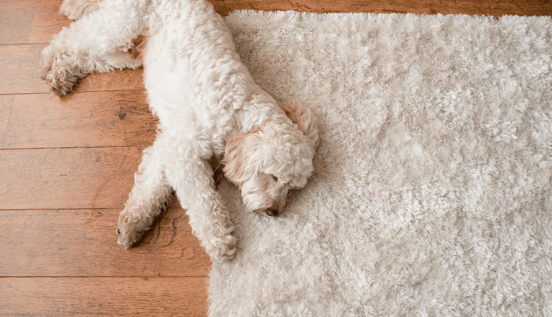 Laying It Down: Tips For Choosing The Right Area Rug